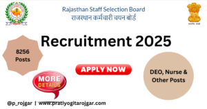 NHM Rajasthan Recruitment 2025 – Apply Online for 8256 DEO, Nurse & Other Posts